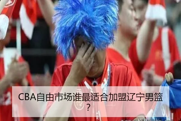 CBA自由市场谁最适合加盟辽宁男篮？ - ayx